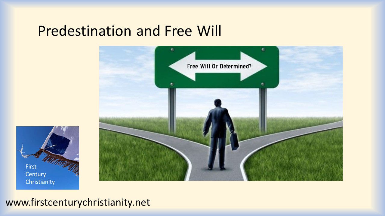 research paper free will predestination