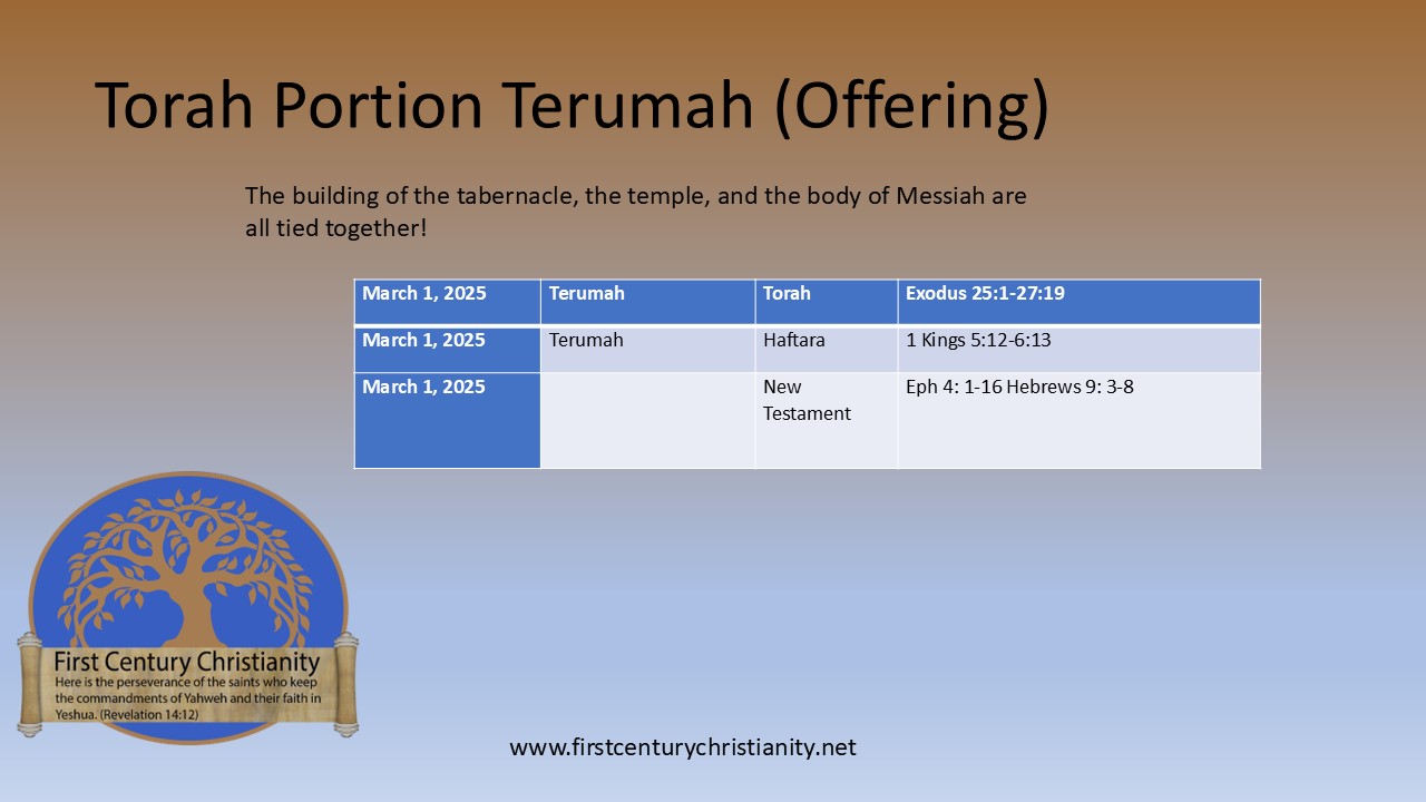 Temurah Example Chart Messianic Torah Portion Terumah - First Century Christianity